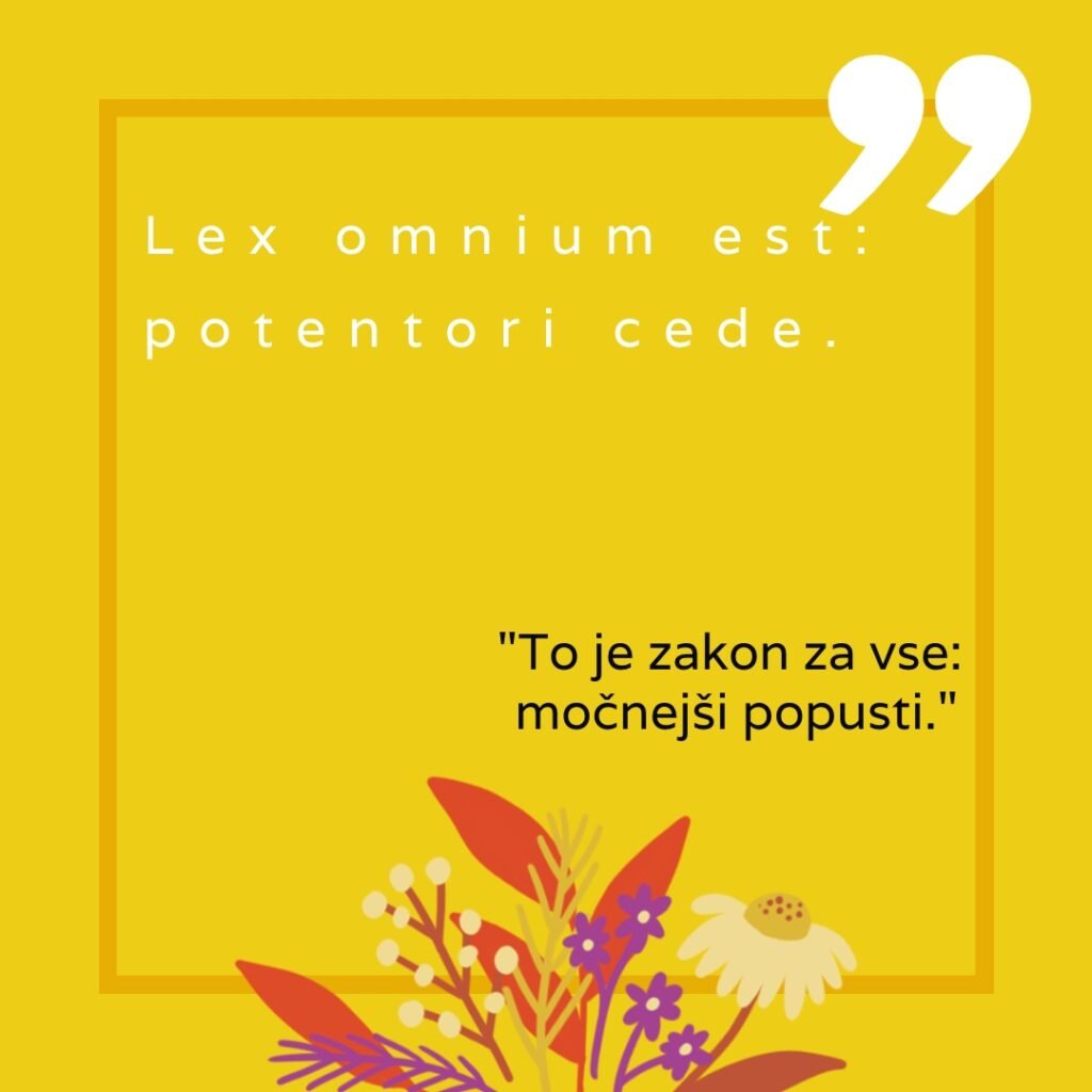 Canary Yellow Floral Quote Instagram Post 2 2